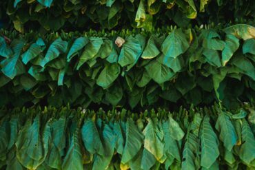 5 conseils concrets pour arrêter de fumer (sans pression ni culpabilité)